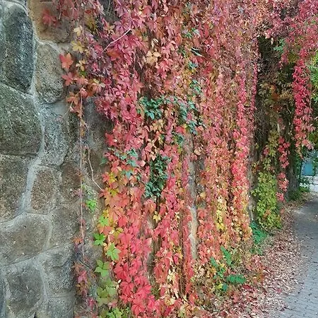 Family Friendly Apartmán Budapešť