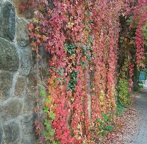 Family Friendly Daire Budapeşte